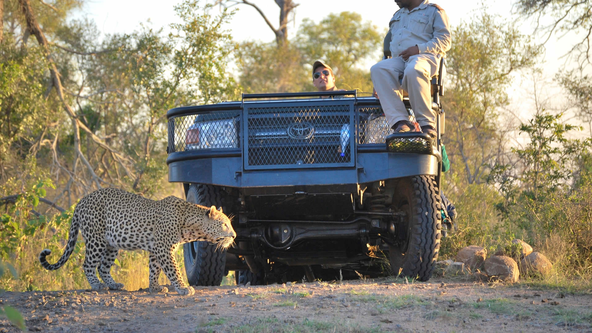 kruger national park