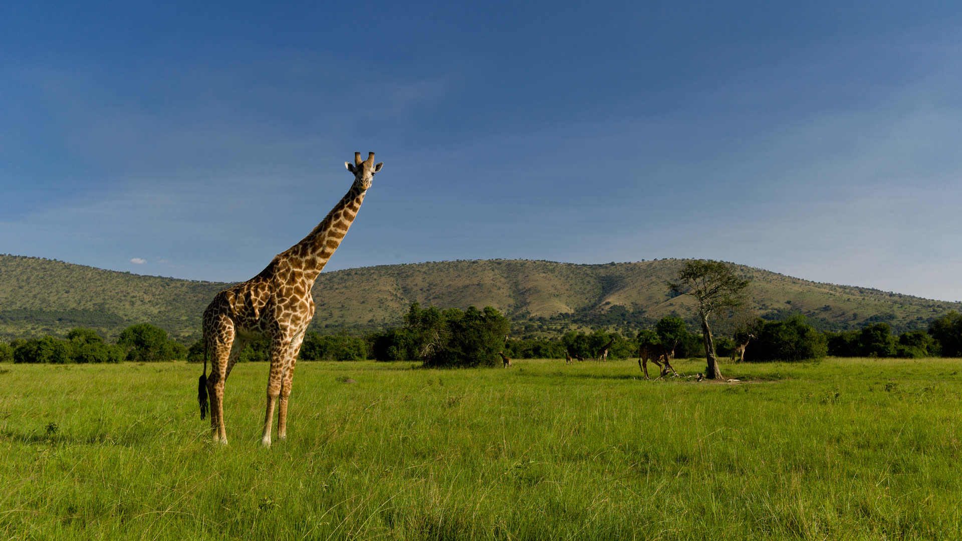 akagera national park