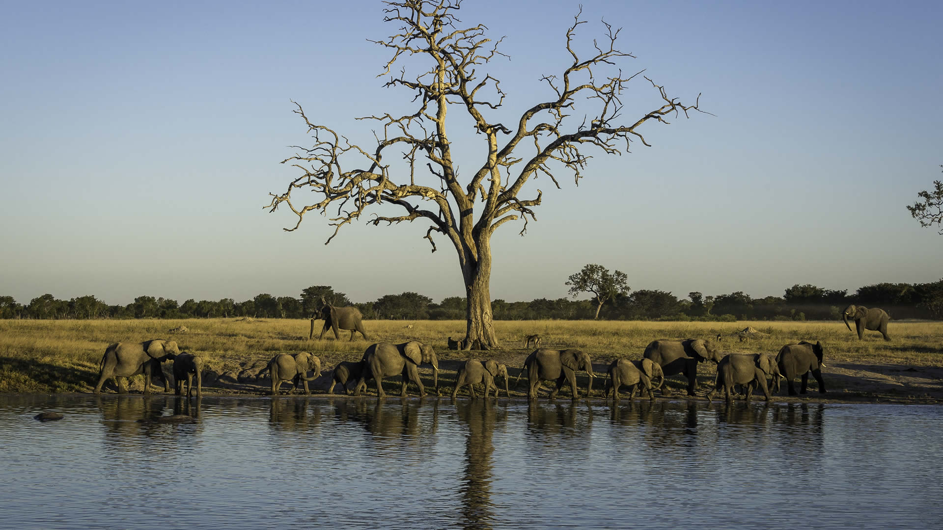 hangwe national park