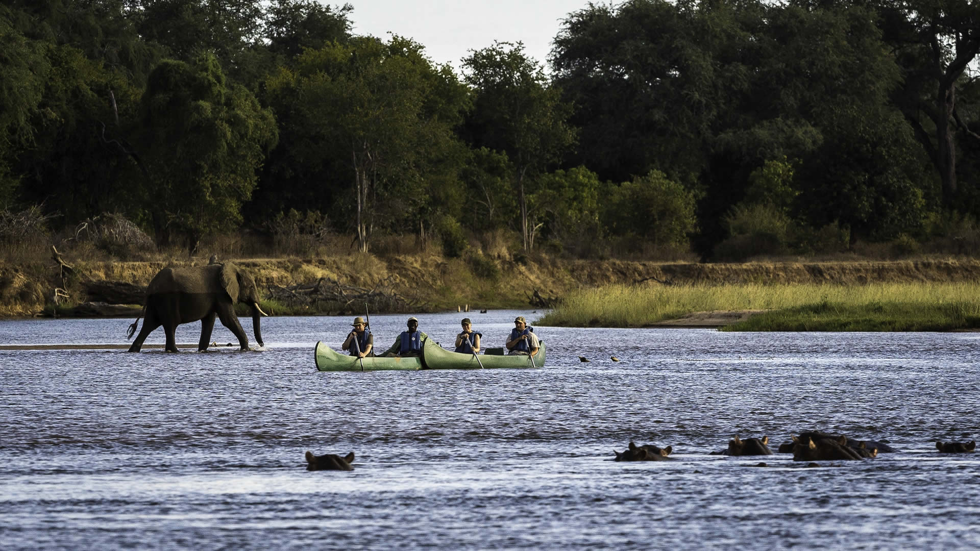 mana pools national park