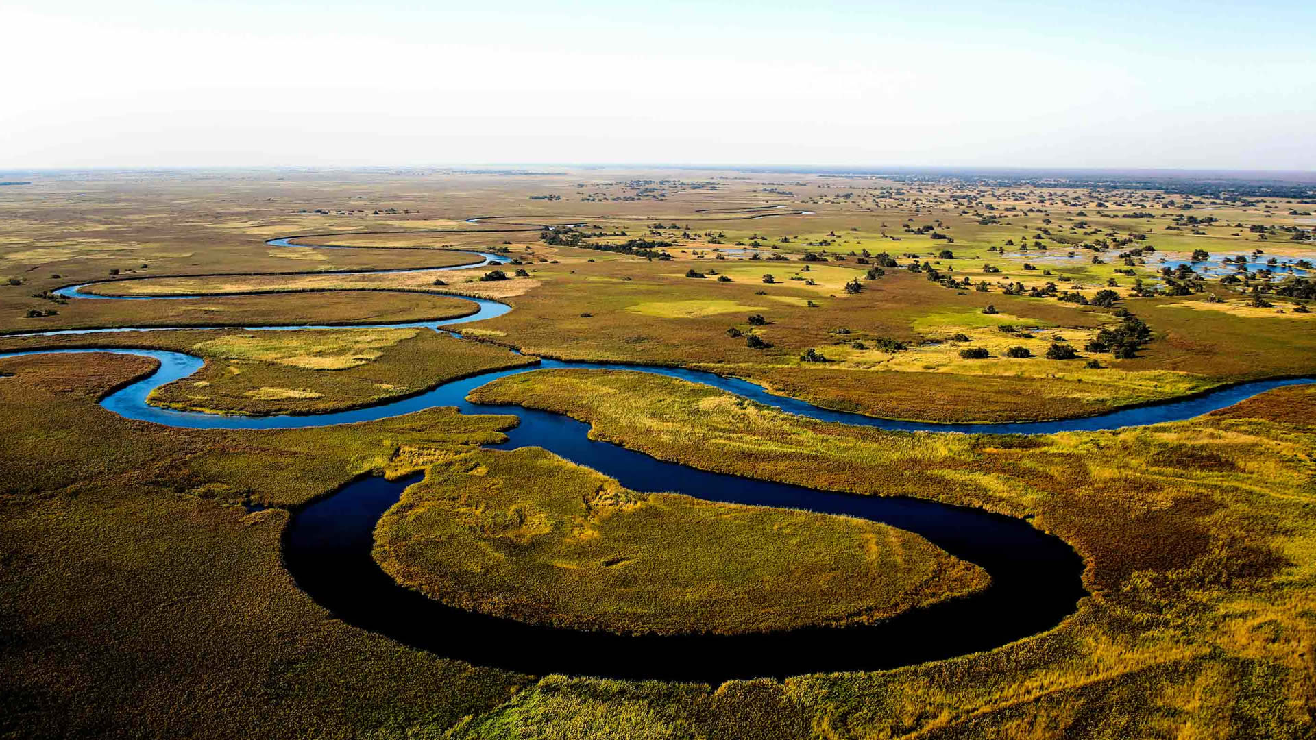 okavango delta