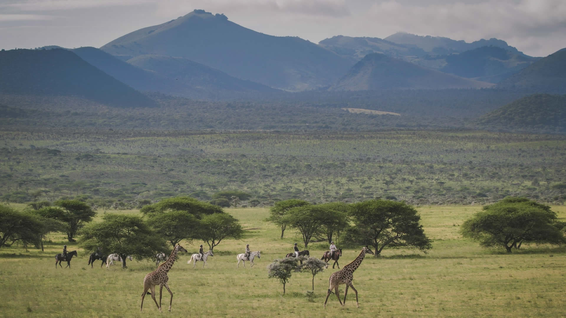 10 days best of kenya safari