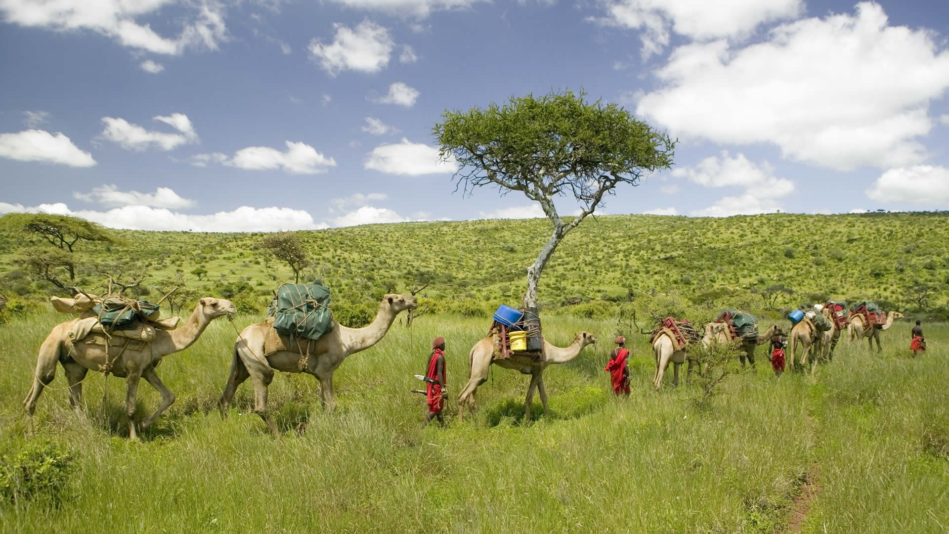 10 days east africa explorer