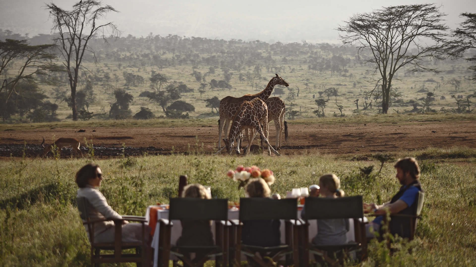 10 days jambo africa safari