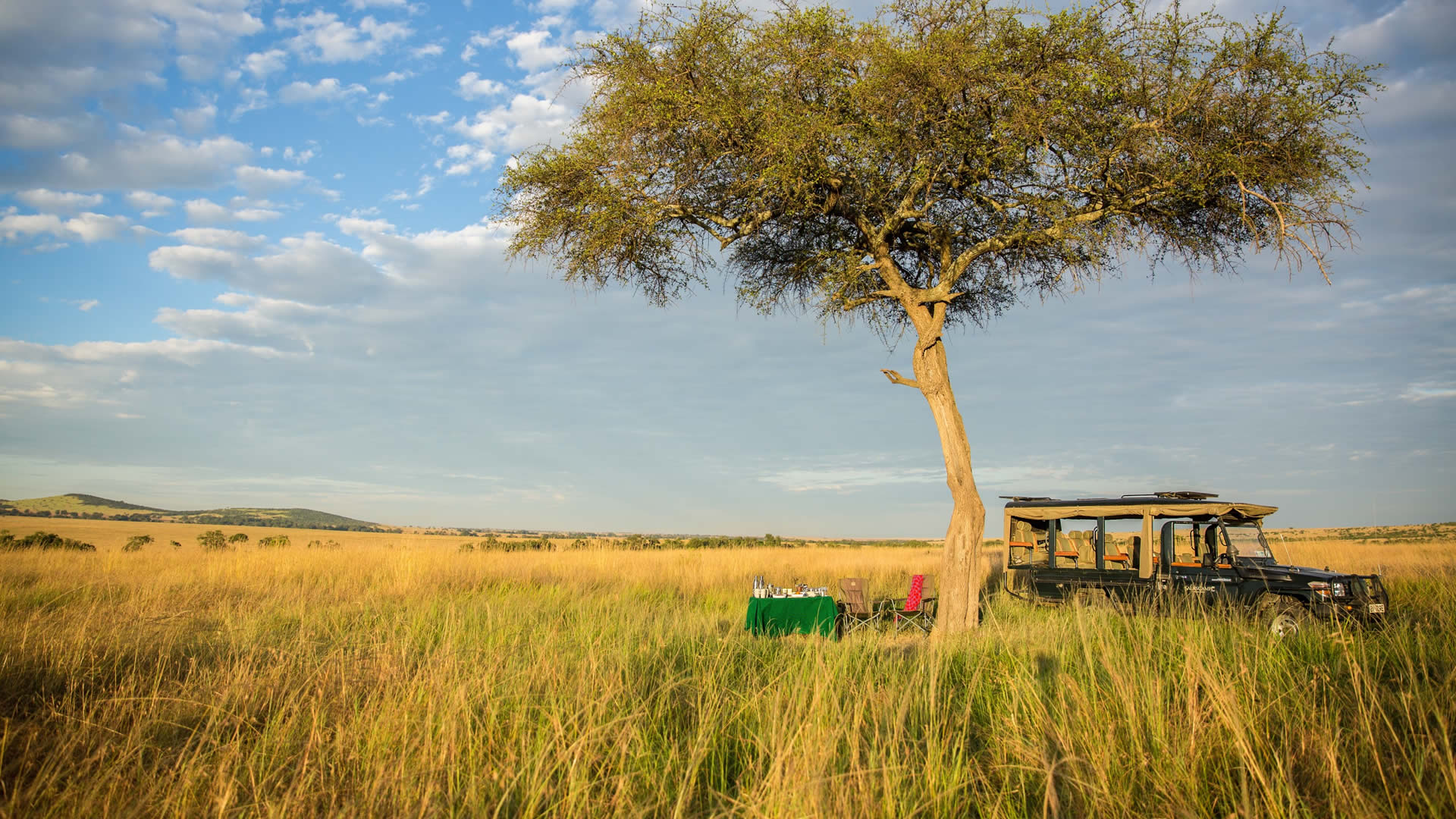8 days true wilderness safari